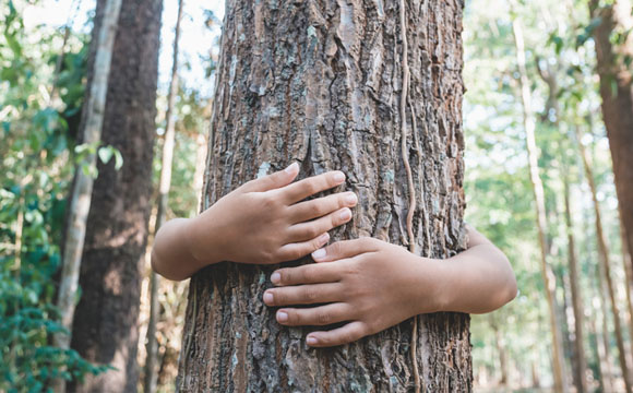 manos de un niño abrazando a un árbol